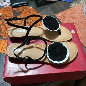 Never use by Carlos Santana